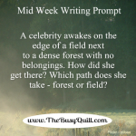 Writing Prompt – Lost Celebrity